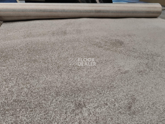 Ковролин Innova Династия DY 137 фото 1 | FLOORDEALER